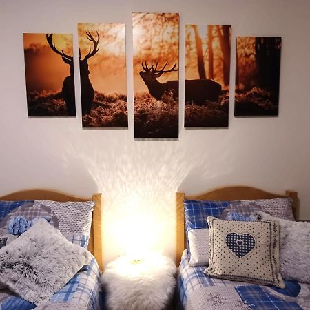 Appartamento Valmaor Predazzo Buitenkant foto